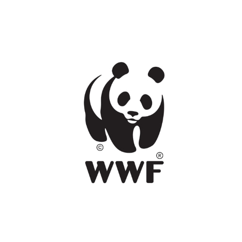 immagine per Italo Mobility Partner di WWF Italia